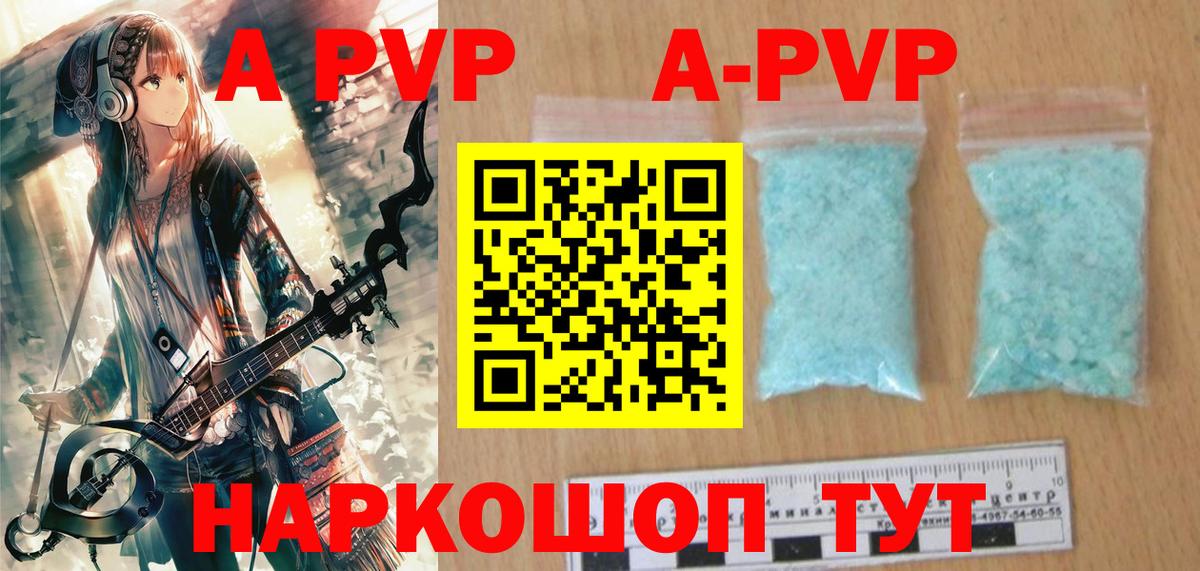 Альфа ПВП СК КРИС Аргун