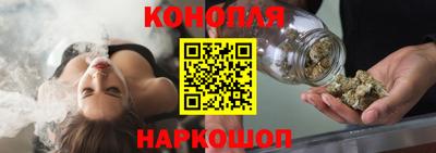 МДПВ Бердск
