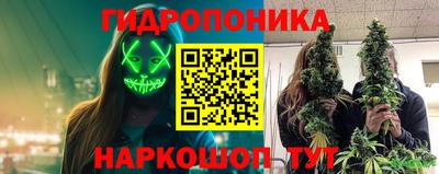 mdpv Боровичи