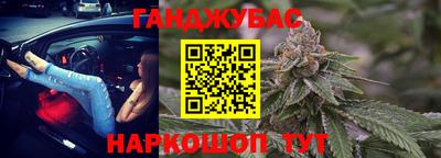 МДПВ Бердск
