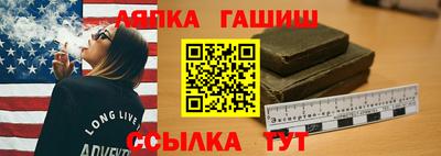МДПВ Бердск