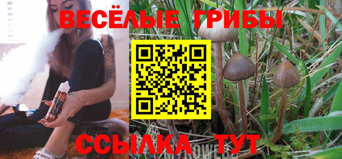 Псилоцибиновые грибы мицелий  Галлюциногенные грибы прущие грибы  Вход с VPN  Аргун 